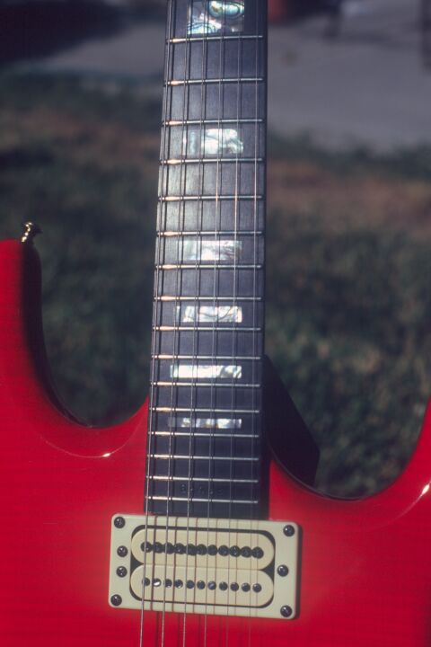 Closeup of neck pickup and lower half of
neck from front