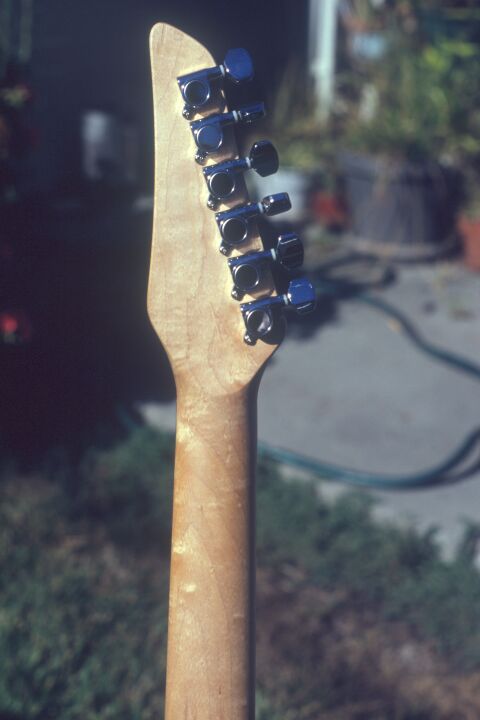 Closeup of the back of the headstock and neck